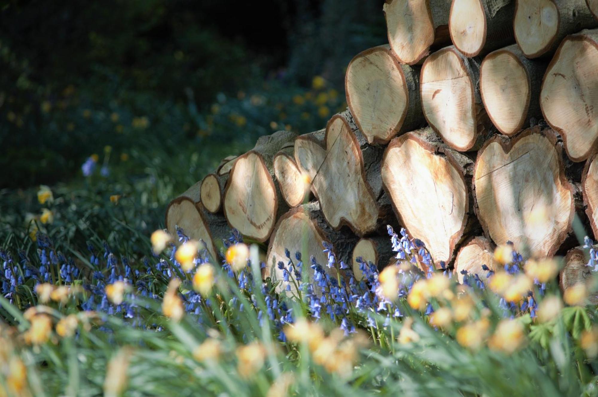 Fischers Baslow Hall - Chatsworth エクステリア 写真